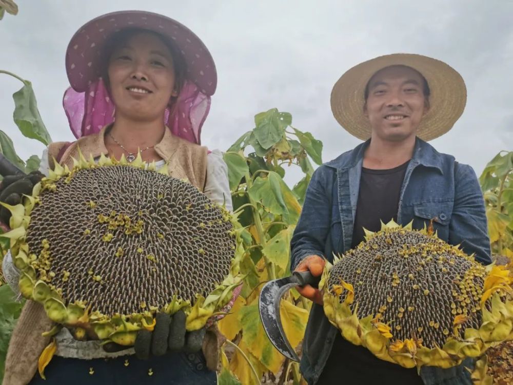 热点生活 第61页
