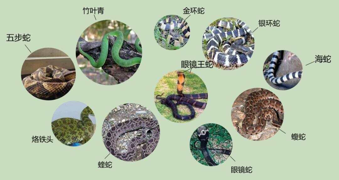 热点生活 第33页